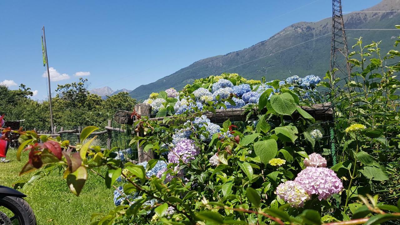 Agriturismo Volpe Golosa Morbegno Exterior photo